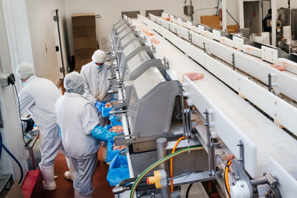 Food Processing and Production